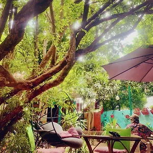 Hostel Vague, Antalya